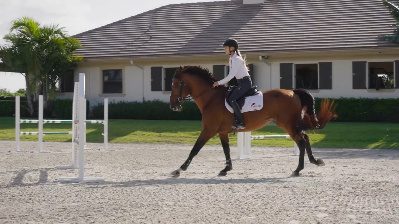 The Making of a Masterpiece - Little Horse Big Jump | Bliss Heers