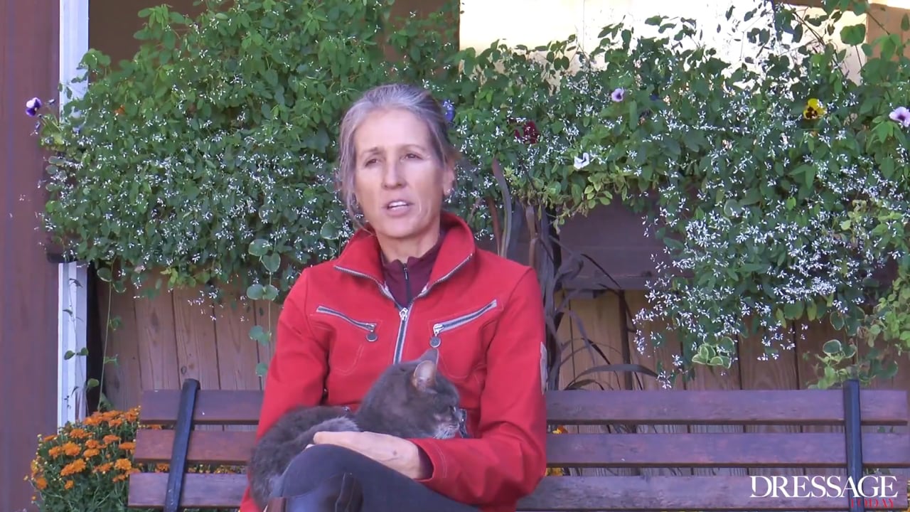 Training Scale - Collection | Felicitas von Neumann-Cosel | PART 11