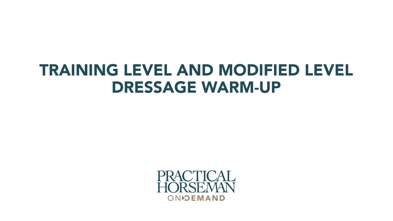 Training Level and Modified Level Dressage Warm-up