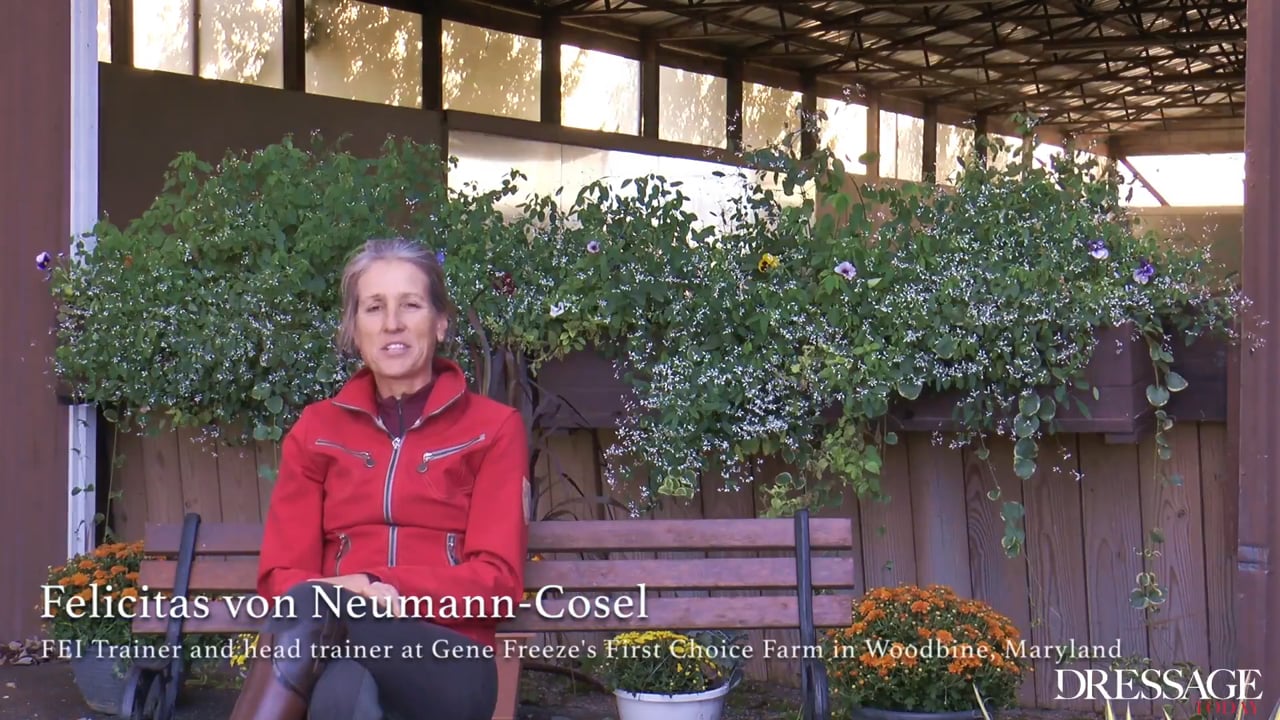 Training Scale - Impulsion | Felicitas von Neumann-Cosel | PART 08