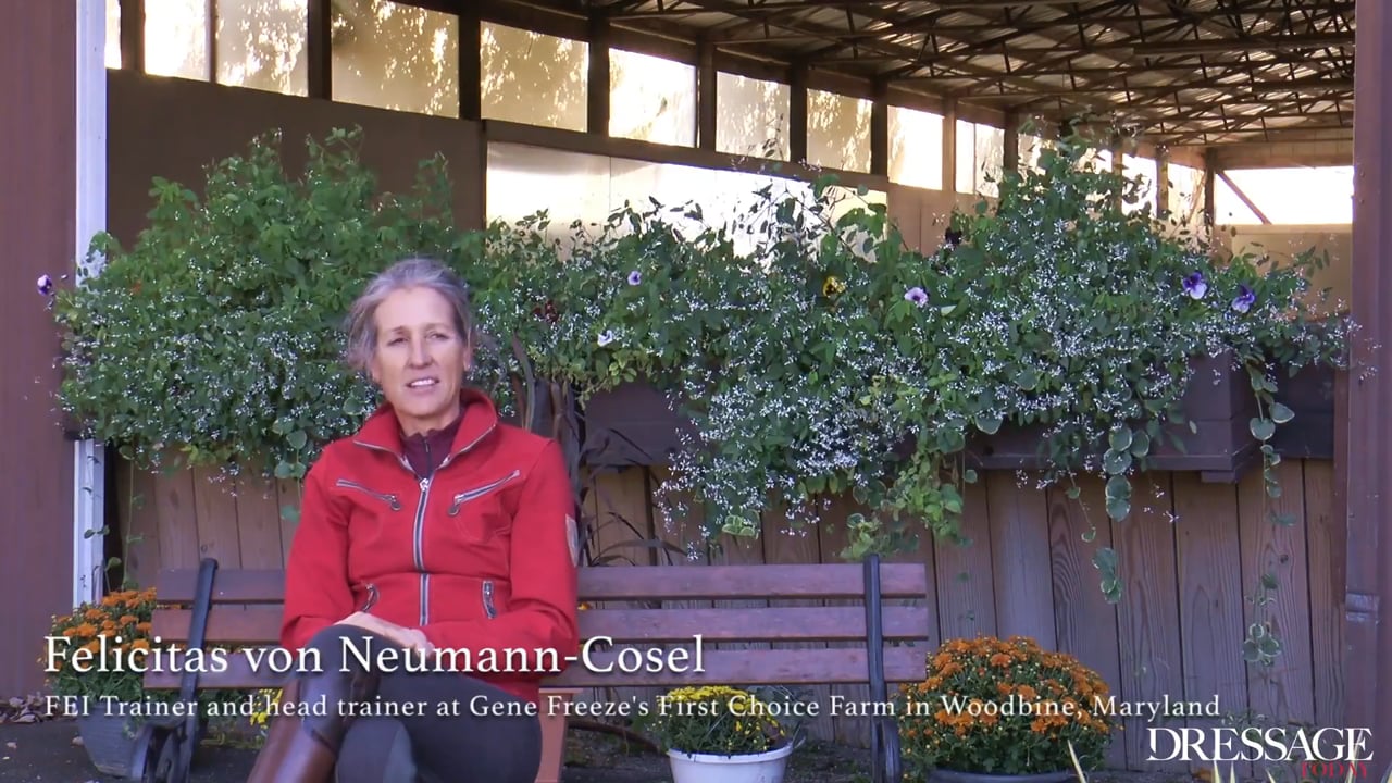 Training Scale - Connection | Felicitas von Neumann-Cosel | PART 06