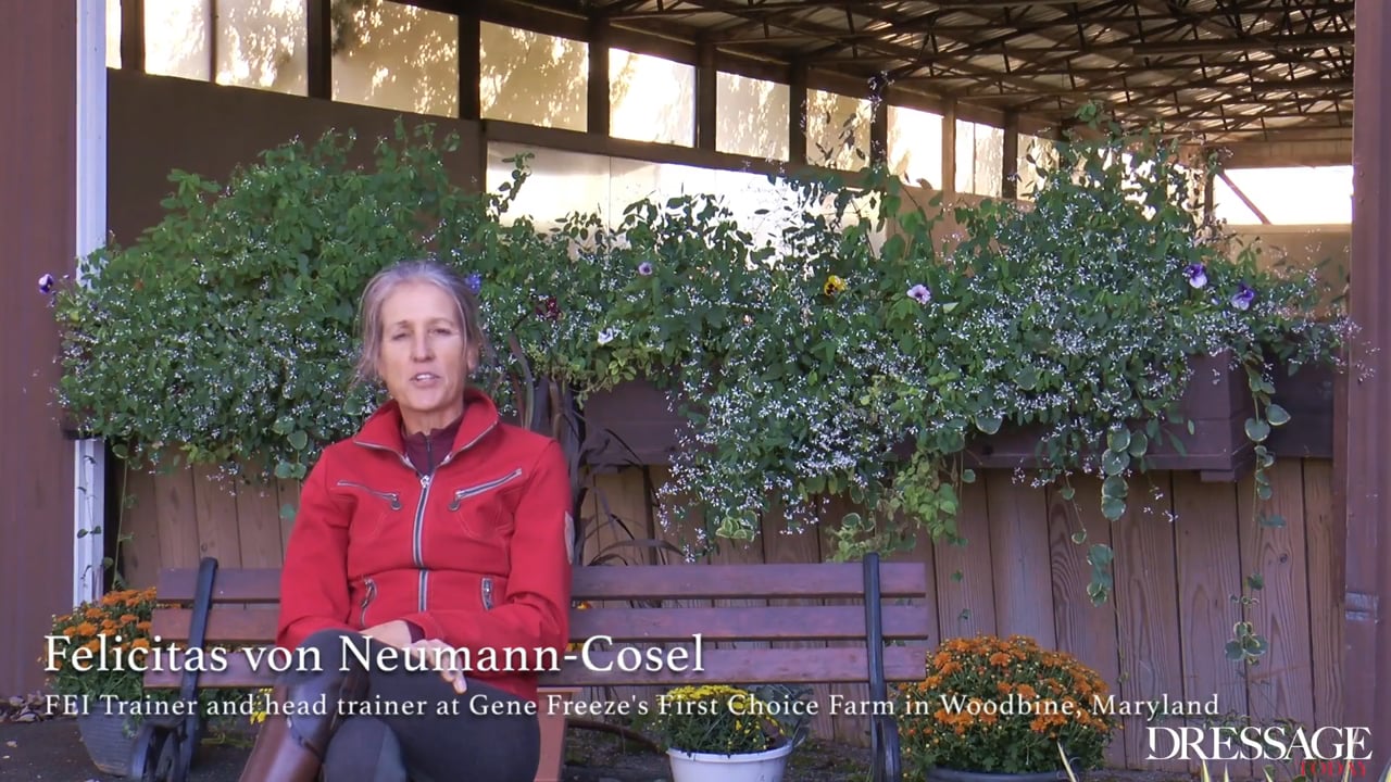 Training Scale - Straightness | Felicitas von Neumann-Cosel | PART 10