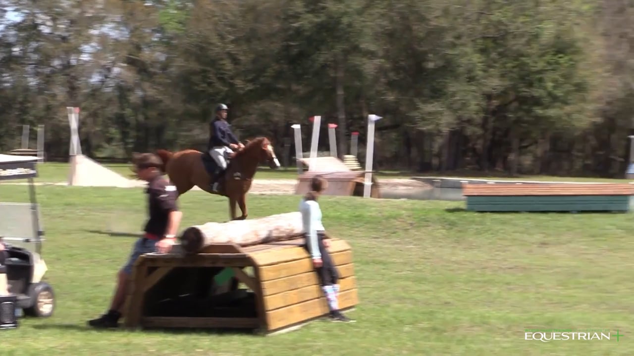 Young Horse Warm-up Course | William Fox-Pitt