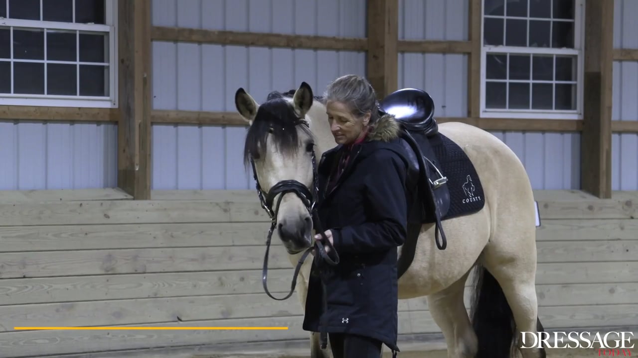 Systematic Training | Felicitas von Neumann Cosel