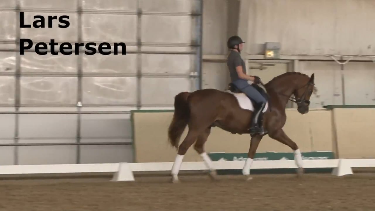 Use of Counter Bend | Lars Petersen | PART 03