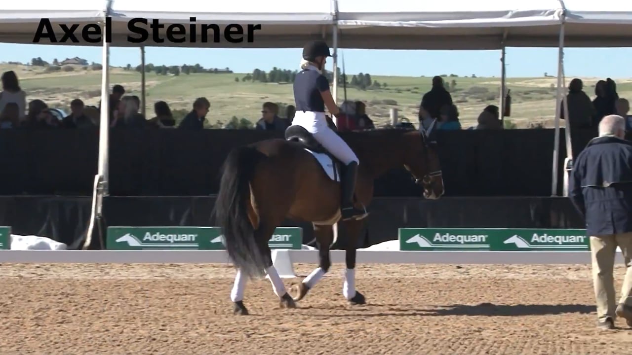 Second Level Basics | Axel Steiner | PART 02