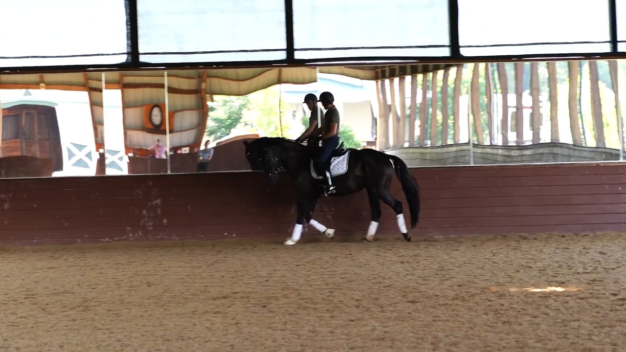 Warmup for a Young Mare | Olivia Lagoy-Weltz | PART 01