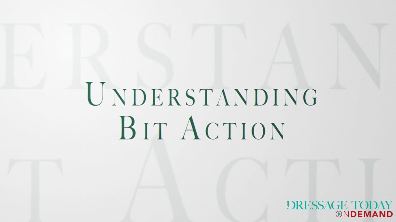 Understanding Bit Action | Stephanie Brown-Beamer