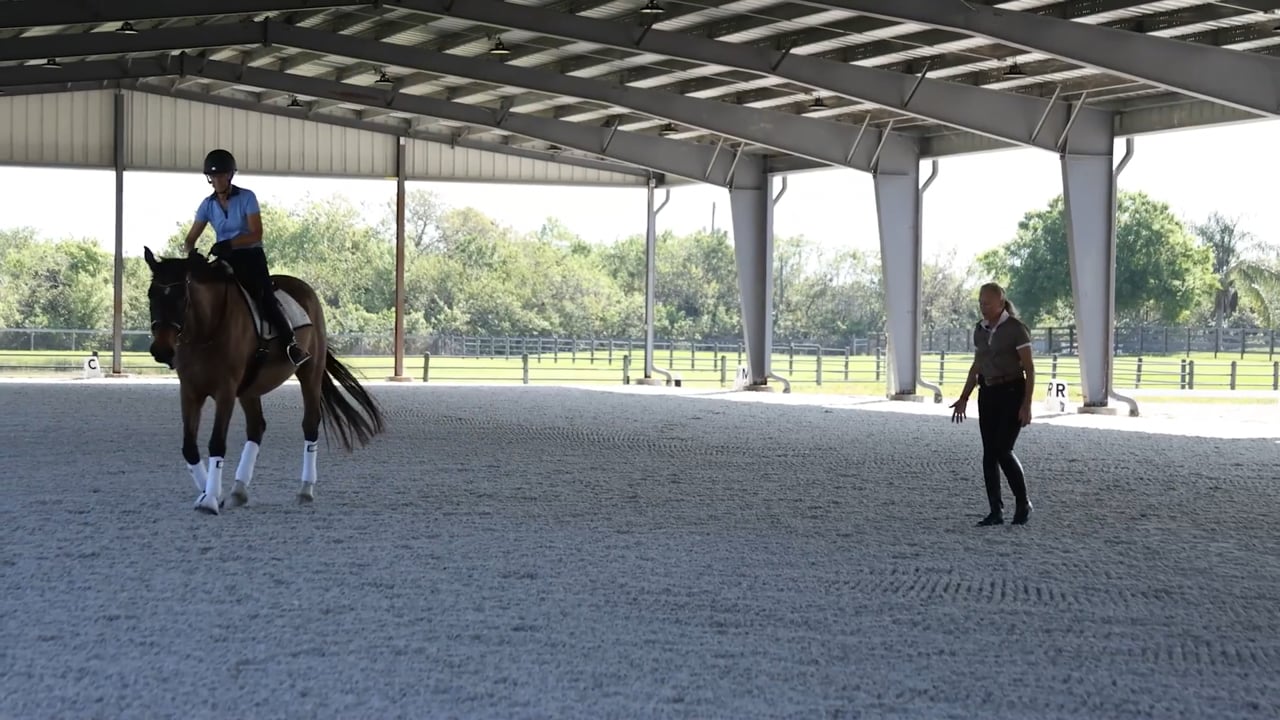 How Horses Think and Why