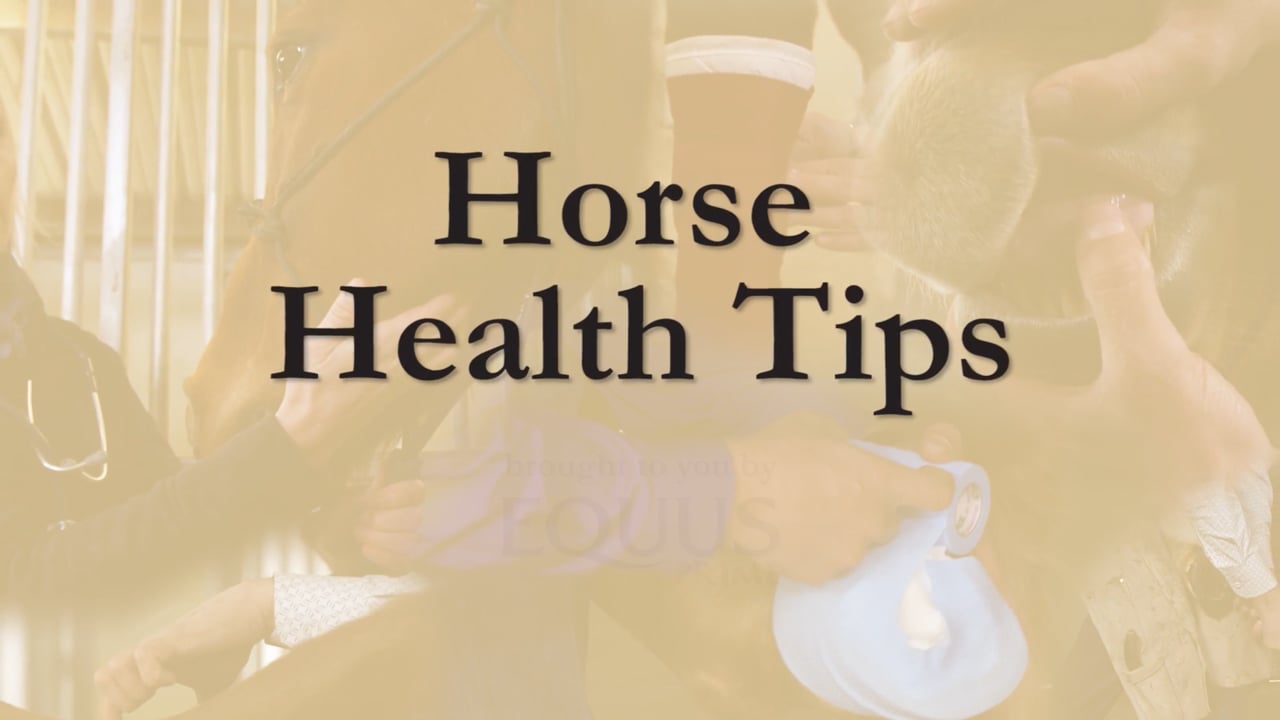 Wrapping a Hock | Sina Parsaye