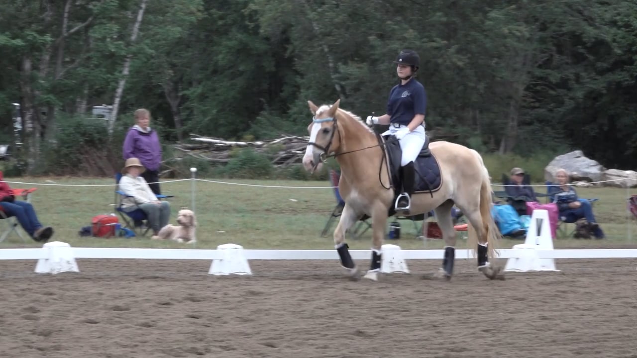 Training Level Forward and Supple Part 3