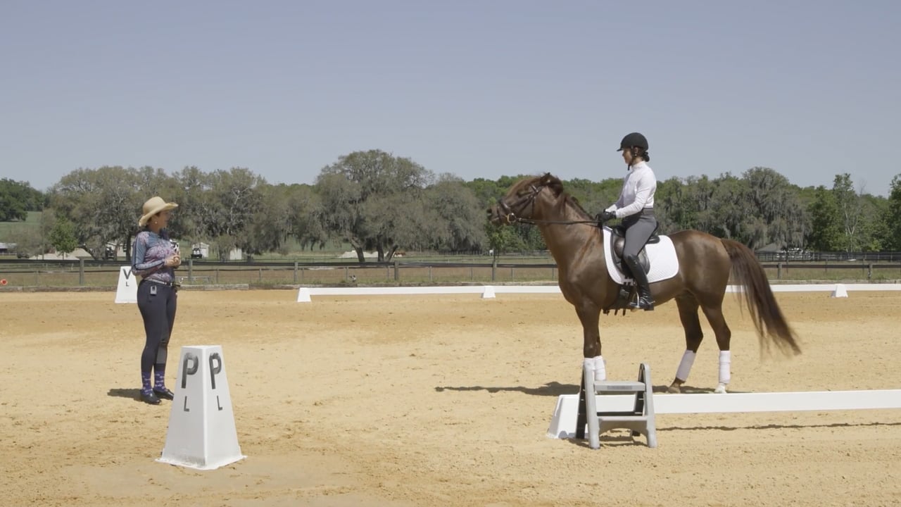 Upper-Level Rider Biomechanics | Stephany Fish Crossman | PART 01