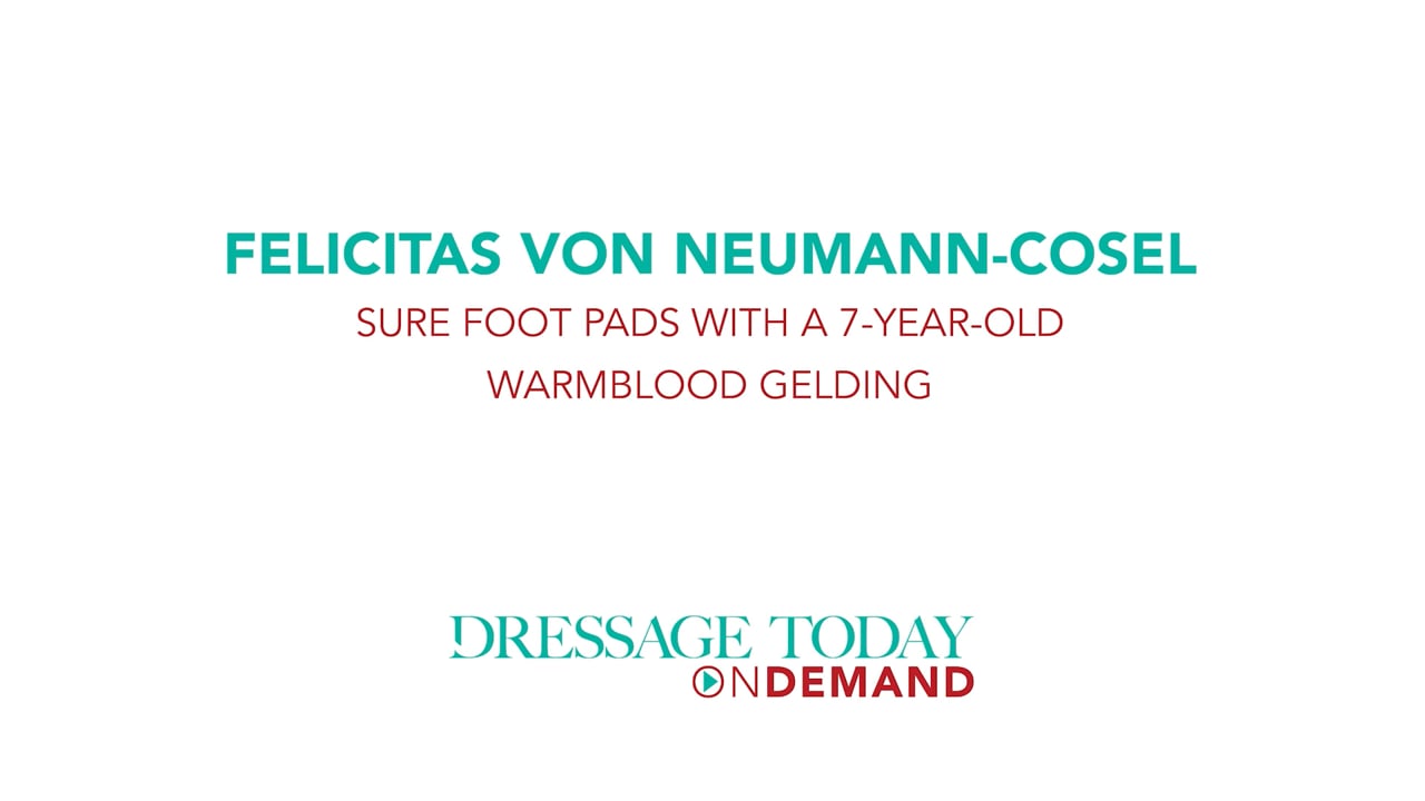 Sure Foot Pads with a 7-Year-Old Warmblood Gelding | Felicitas von Neumann-Cosel
