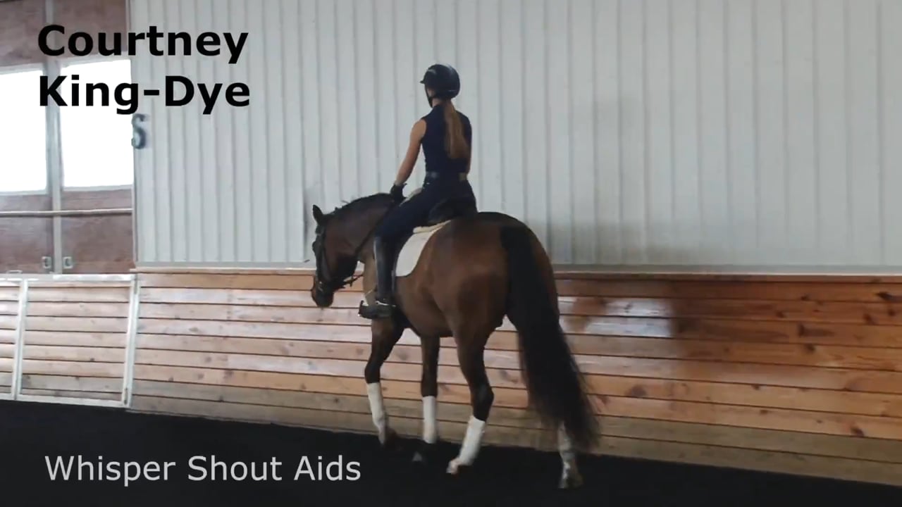 Whisper Shout Aids | Courtney King-Dye | PART 02