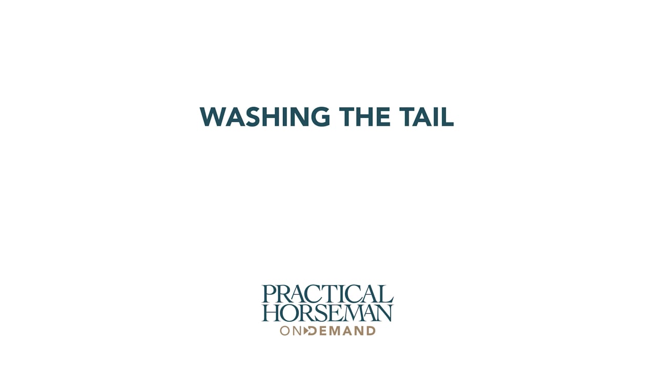 Washing the Tail | Laurie Pitts