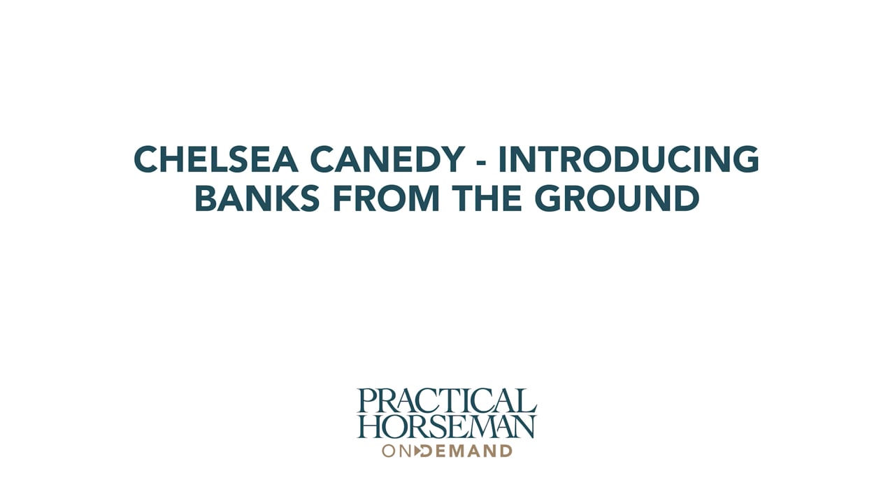 Introducing Banks From The Ground