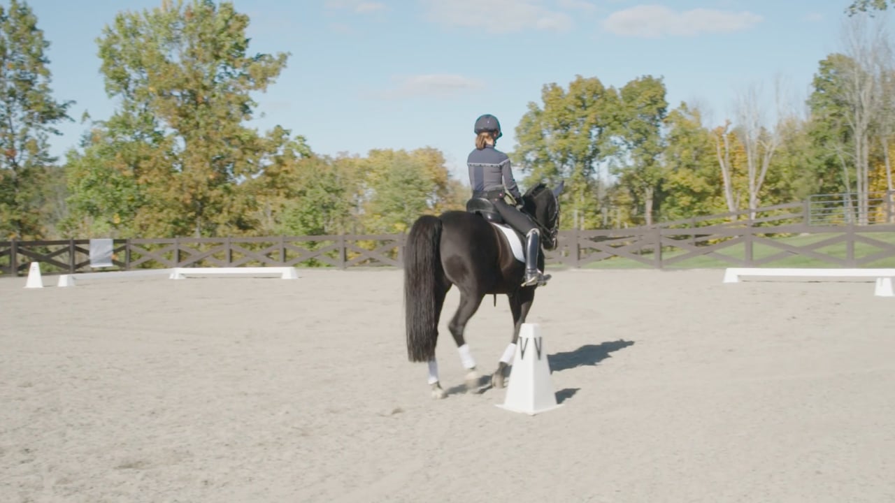 Schooling an Upper-Level Pony – Warm-Up