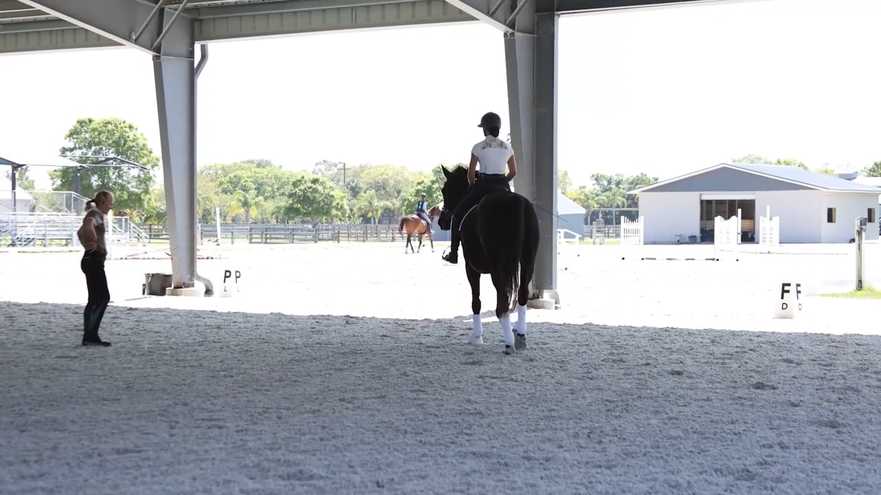 Helping a Nervous Horse Focus – Part 3