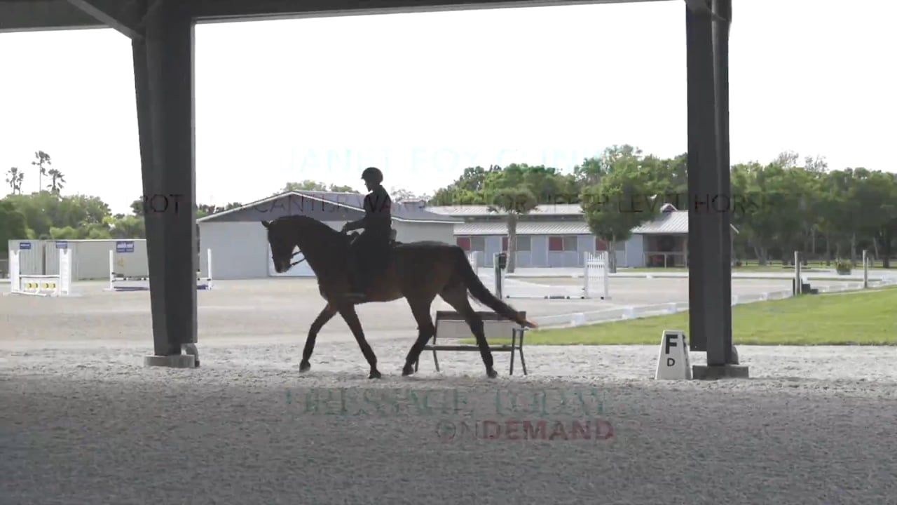 Trot and Canter Warm-Up for Upper Level Horse | Janet Foy