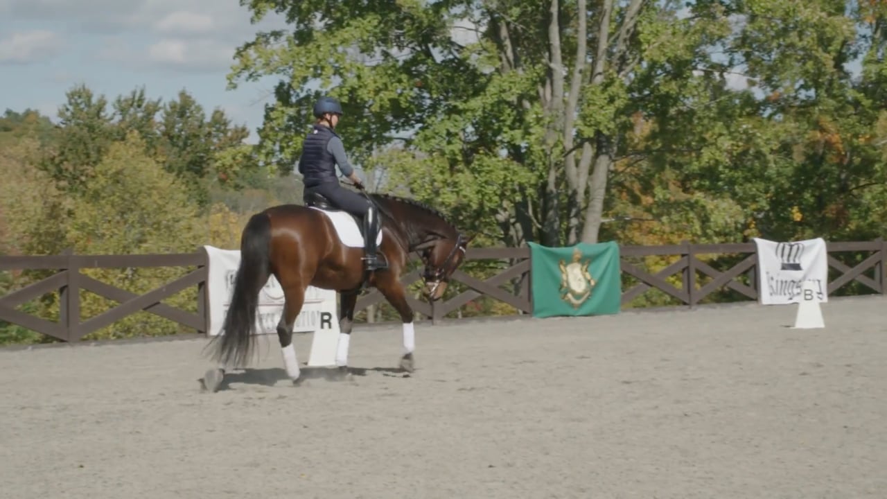 Suppleness in the Trot