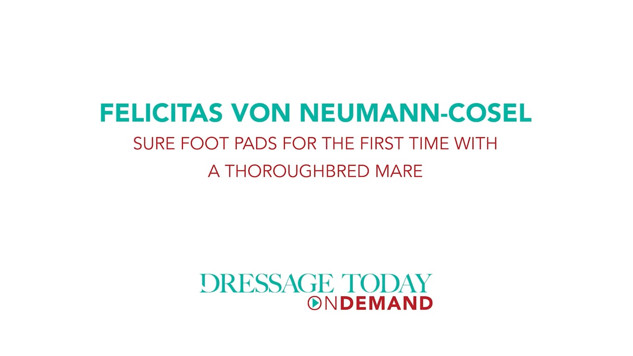 Sure Foot Pads, 1st Time - Thoroughbred Mare | Felicitas von Neumann-Cosel