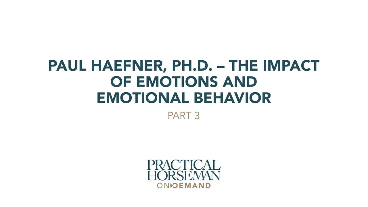 The Impact of Emotions and Emotional Behavior - Part 3