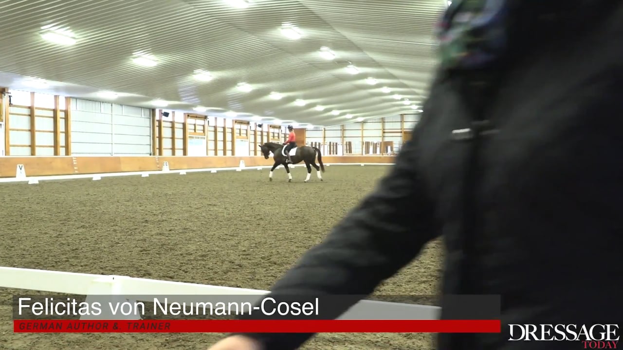 The Hind-End, Relaxation and Tempo | Felicitas von Neumann-Cosel