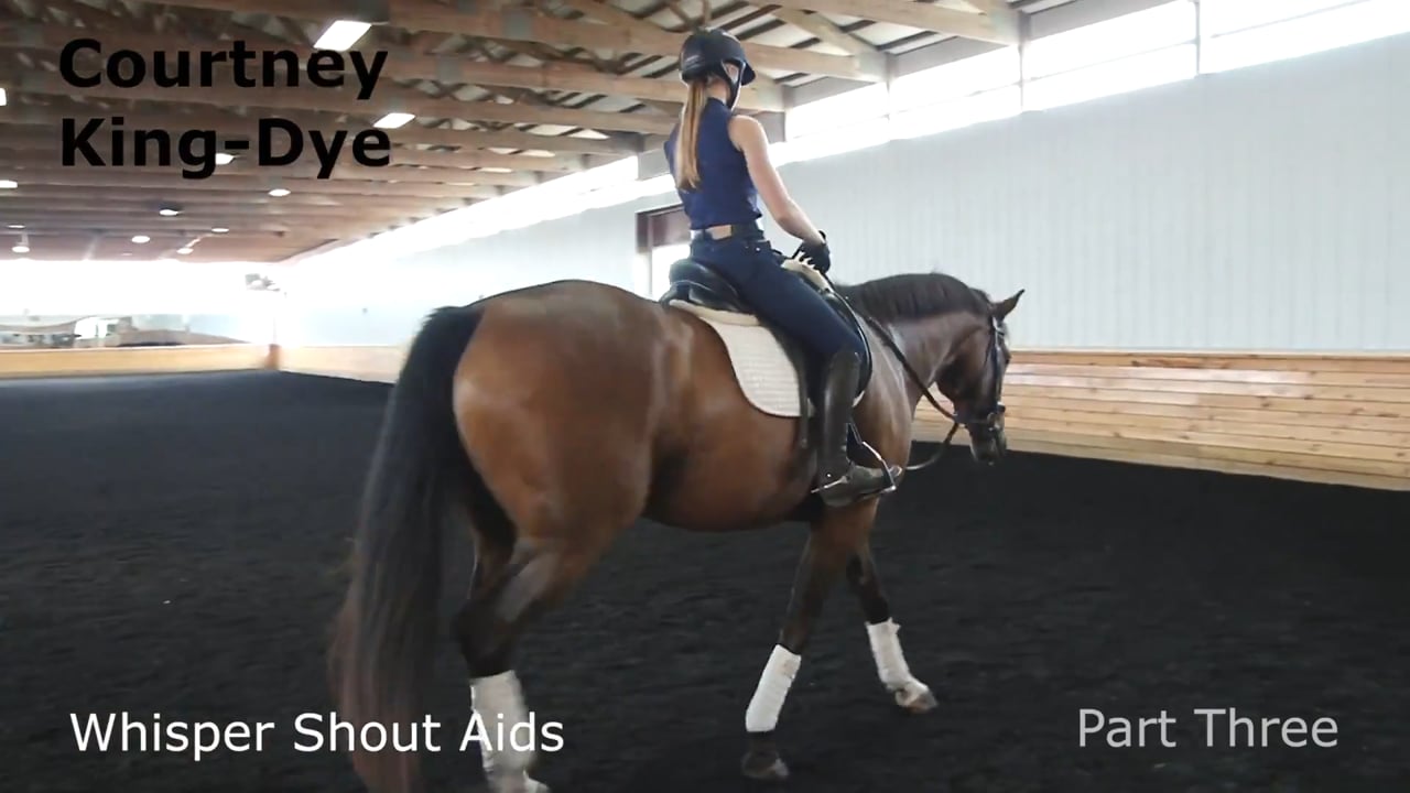 Whisper Shout Aids | Courtney King-Dye | PART 03