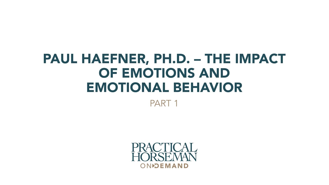 The Impact of Emotions and Emotional Behavior - Part 1