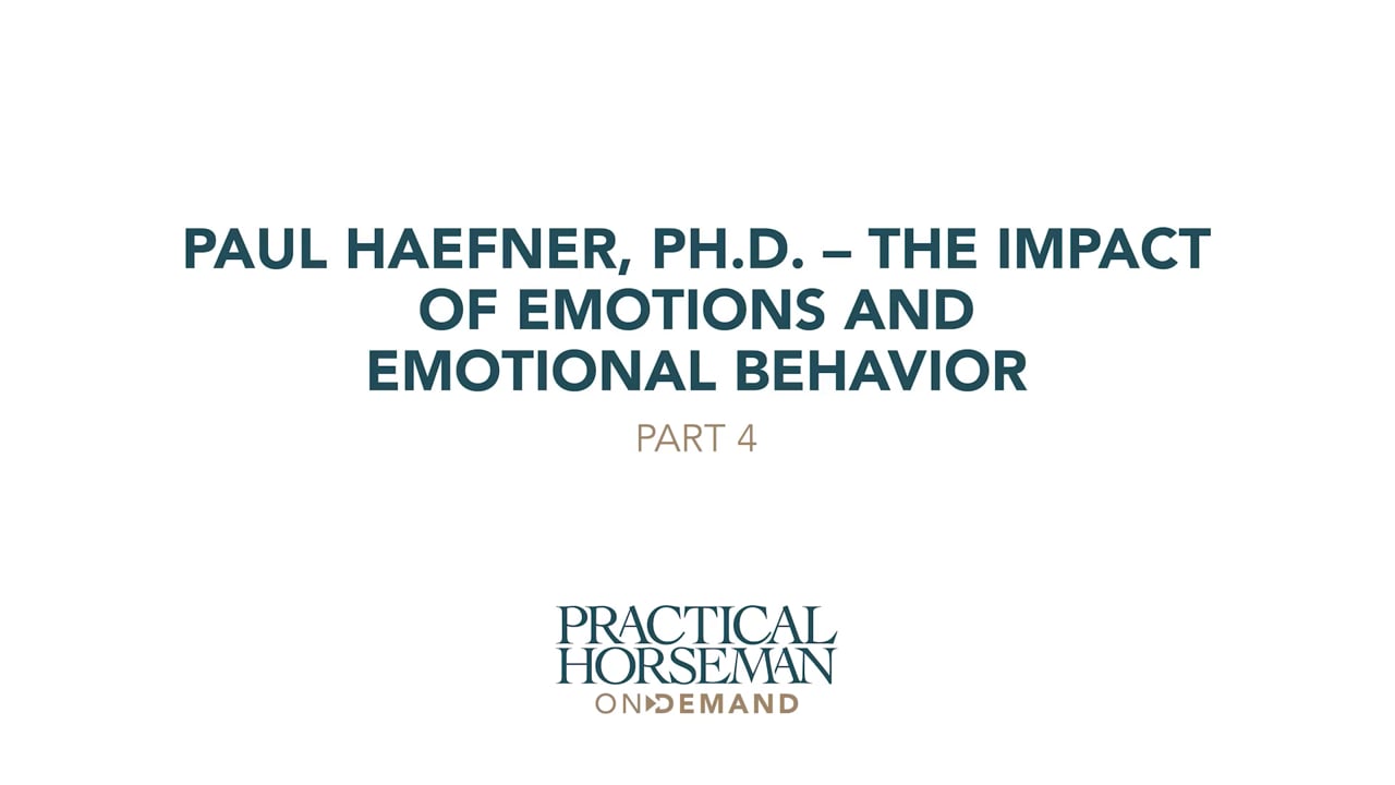 The Impact of Emotions & Emotional Behavior | Pauf Haefner PH.D, PART 04