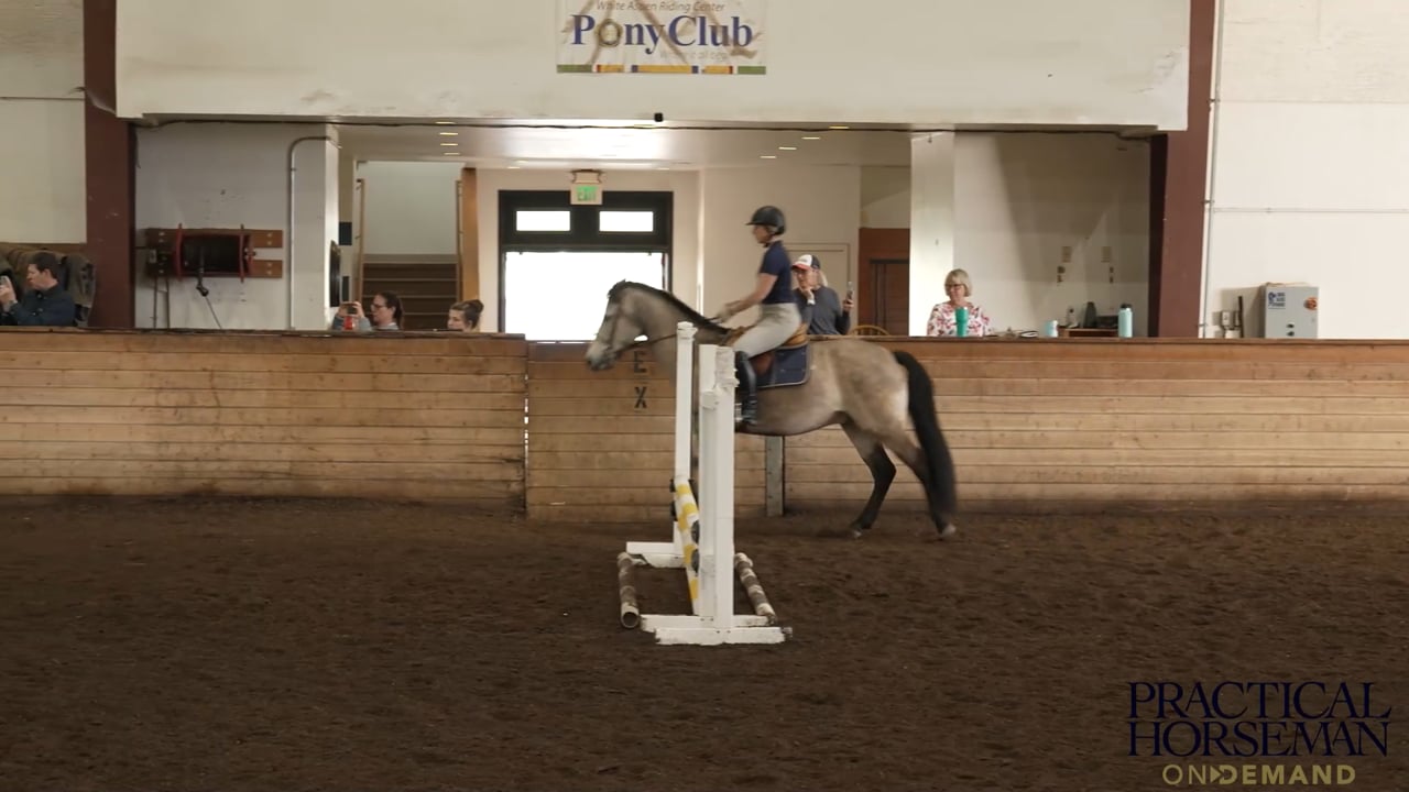 Geoff Teall – 2’6” to 2’9” – Warm-up on the Flat – Part 2