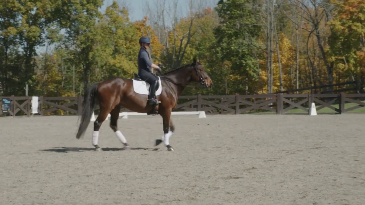 Suppleness in the Flying Changes