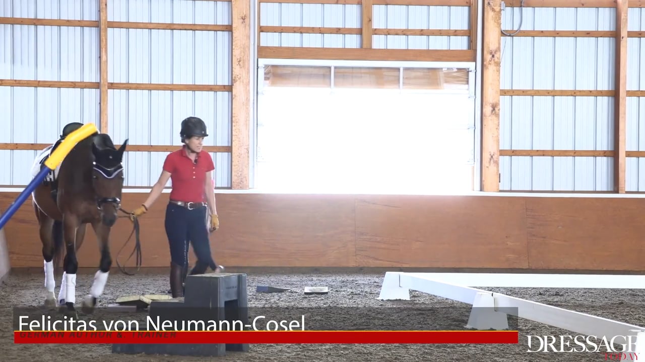 Straightness and Relaxation | Felicitas von Neumann-Cosel