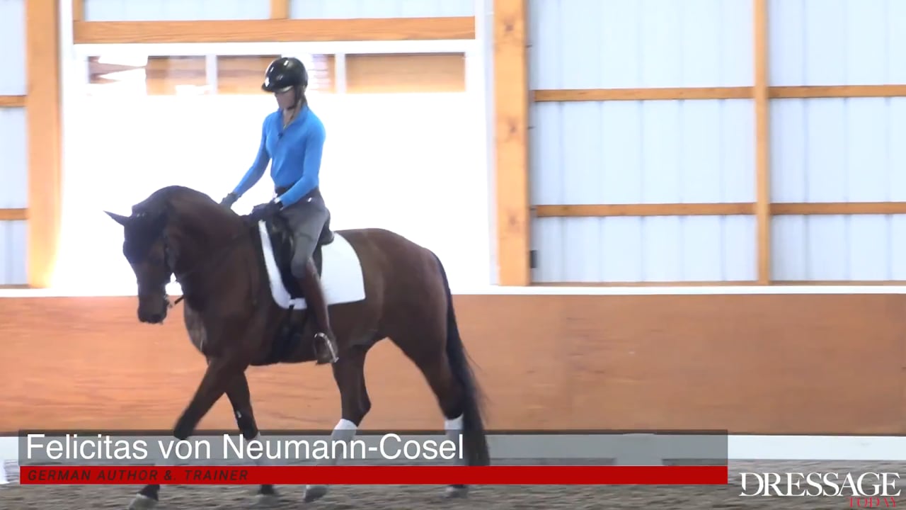 Working on Tempo | Felicitas von Neumann-Cosel