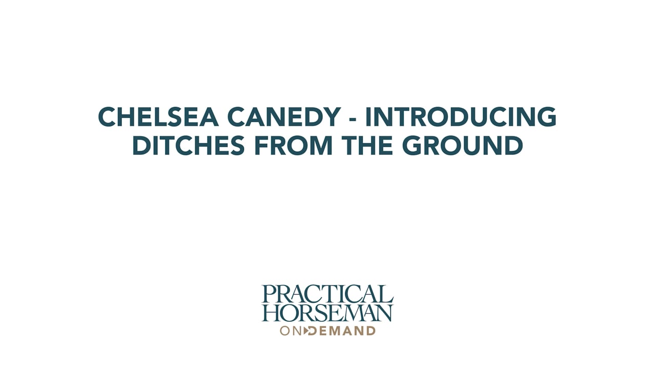 Introducing Ditches From The Ground