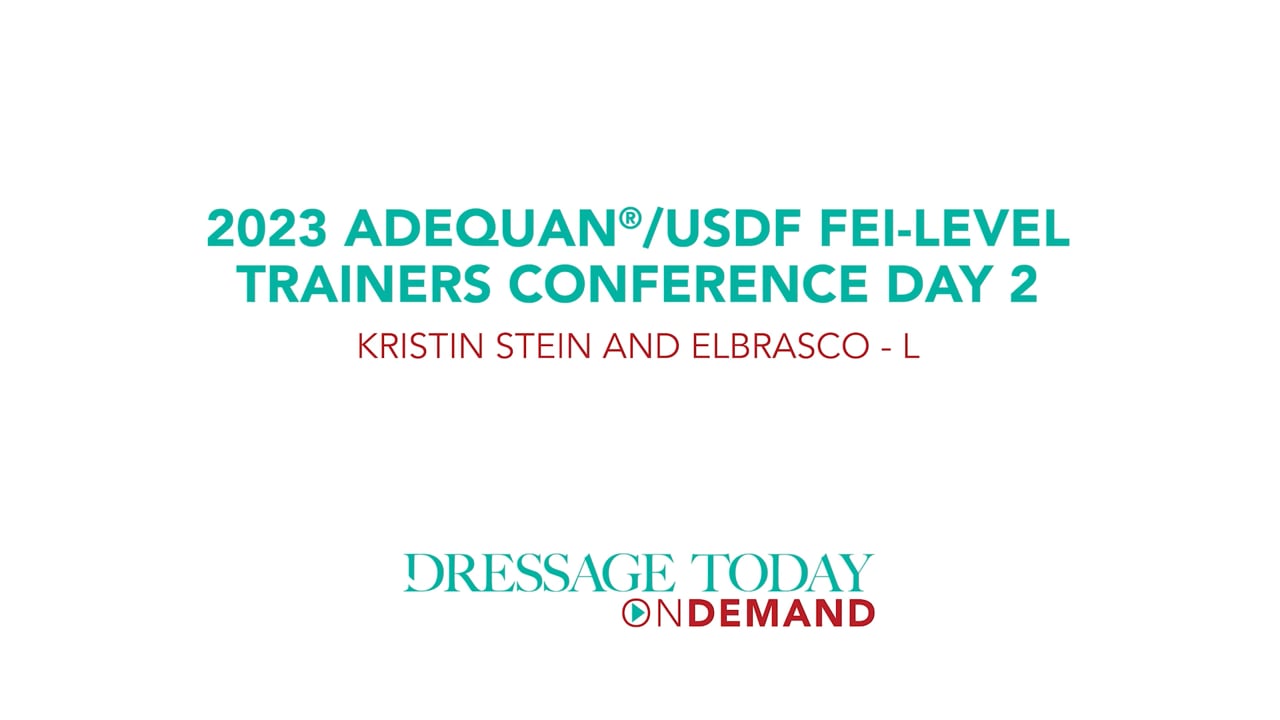 2023 USDF FEI-Level Trainers Conference Kristin Stein and Elbrasco - L - Day 2