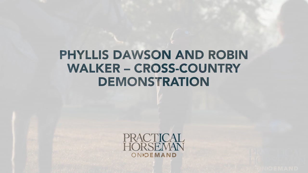 Cross-Country Demonstration