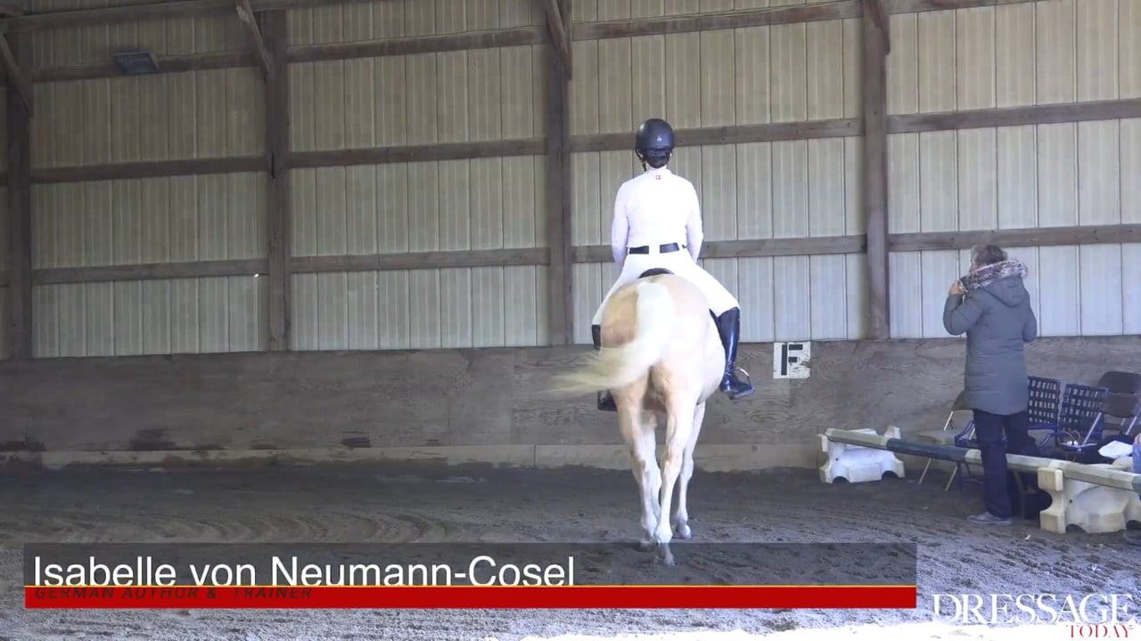 Working with Your Body Proportions | Isabelle von Neumann-Cosel