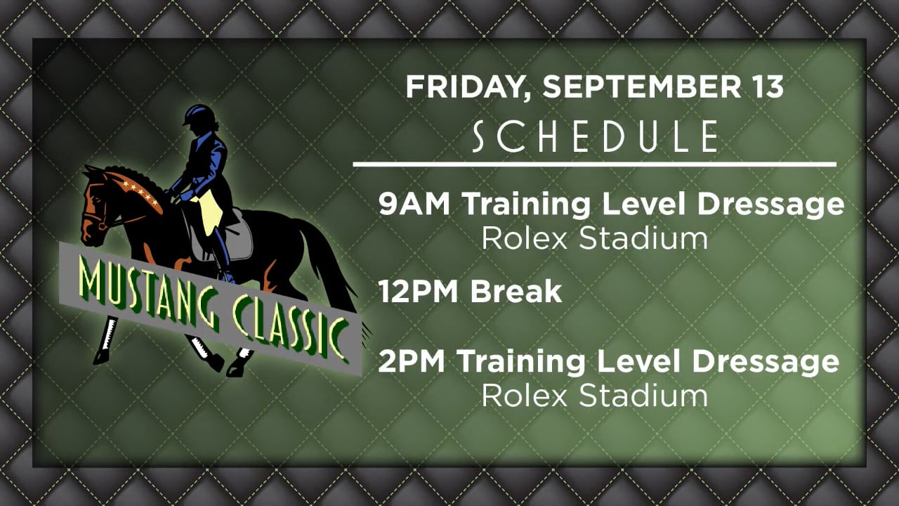 Working Equitation | 2024 Mustang Classic