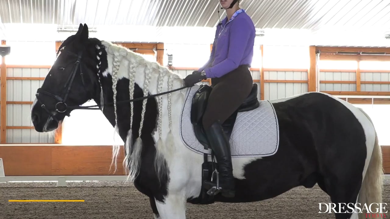 Training/First Level | Felicitas von Neumann-Cosel