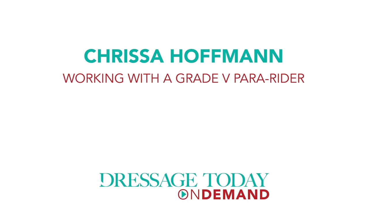 Working with a Grade V Para-Rider | Chrissa Hoffman