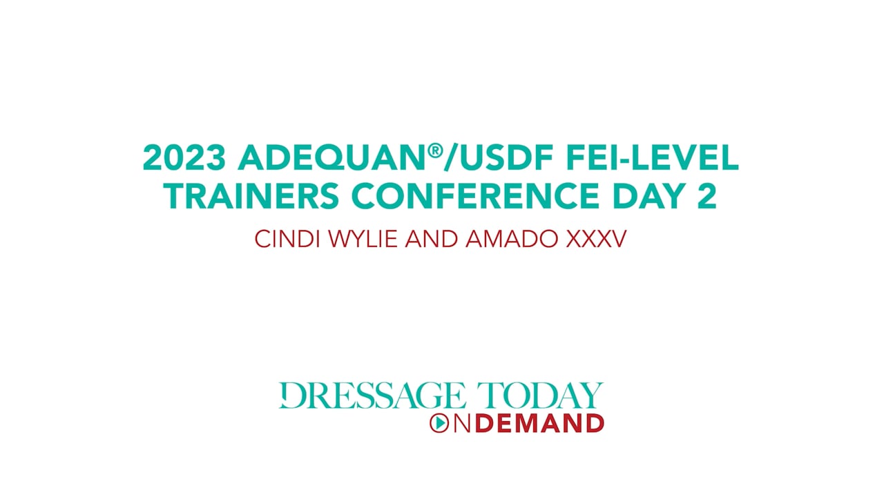 USDF FEI-Level Trainers Conference Cindi Wylie and Amado XXXV - Day 2