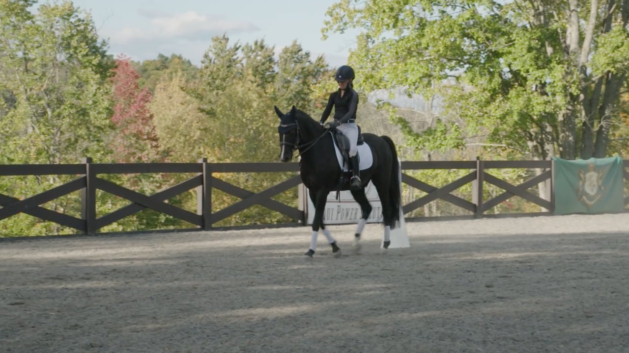 Steffen Peters – Schooling an Upper-Level Pony – Day 2 Trot Work