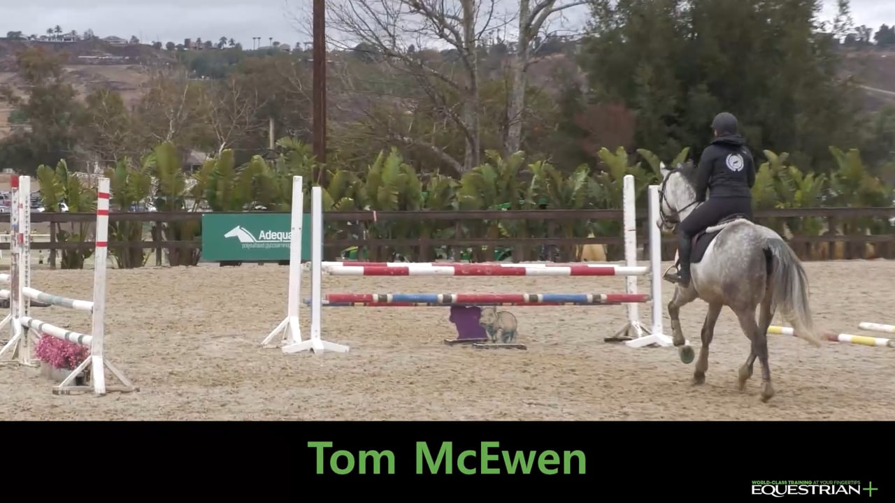 Straightness Over Simulated Cross-Country Jumps | Beginner Novice | Tom McEwen