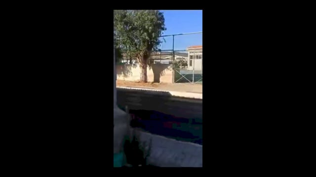Χανιά Πέθανε σκύλος που βρέθηκε χτυπημένος από όχημα και πυροβολημένος στην ιχθυόσκαλα 26-9-2025