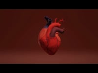 The Circulatory System in Ruqyah