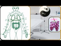 Lung Meridian (LU) – Moxibustion Basics