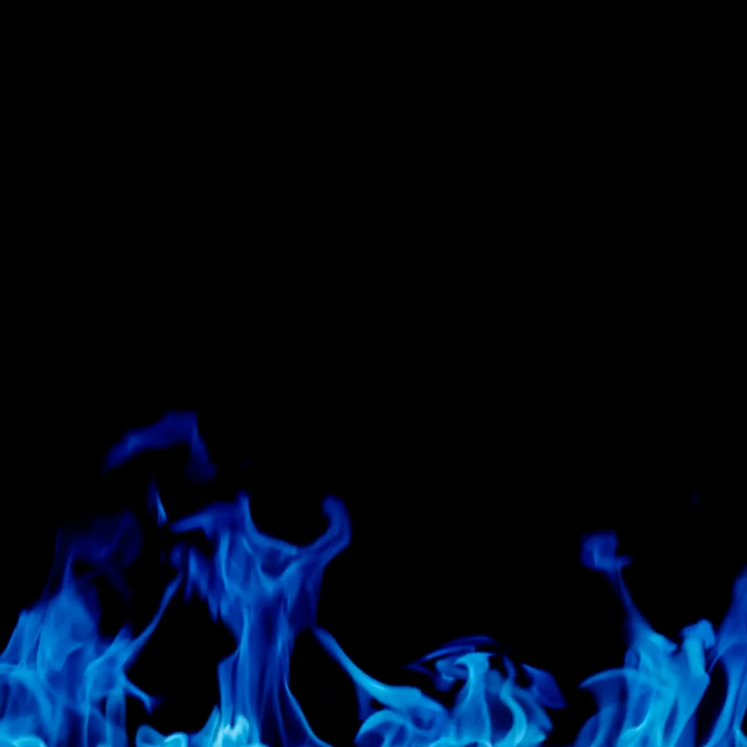 The Meta Mafioso NFT | Meta Signals