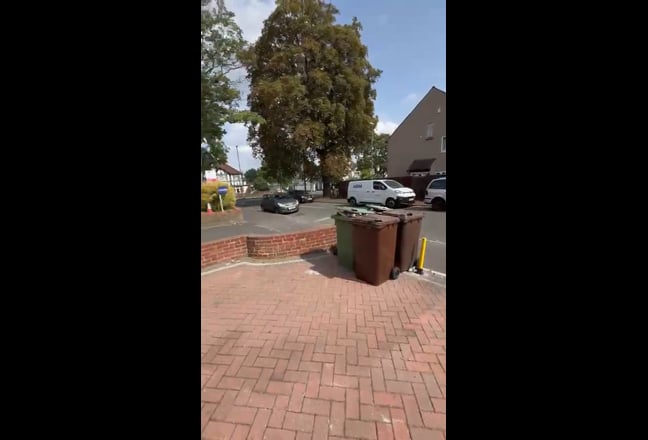 Video 1: