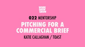 Related Embedded Video Item Thumbnail